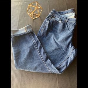 Torrid Denim Jeans